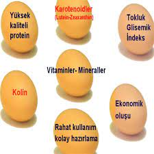 yumurtanin faydalari ve avantajlari