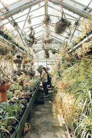 Botanische Tuin Zuidas Amsterdam Haarkon Adventures Landscaping With Rocks Urban Garden Garden Structures
