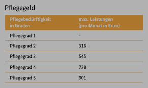 Um dem angehörigen und pflegenden eines pflegebedürftigen zu helfen und die qualität der pflege zu überprüfen, ist eine beratungspflege von einem zugelassenen pflegedienst durchzuführen, wenn der zu pflegende nur pflegegeld bezieht. Das Pflegegeld