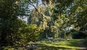 Das werden bald die letzten aufnahmen von dem garten sein und hier haben wir alle. Alter Botanischer Garten Open House Zurich