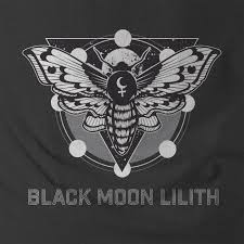 As the house of hopes and dreams, the eleventh house is a quite important one in the natal chart. Mark Wilson Black Moon Lilith