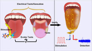 Image result for Taste Sensation
