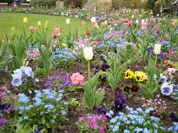 Cottagecore Plants Garden Styles Mother Nature