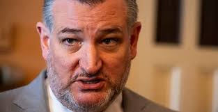 Marjorie Taylor Greene's boyfriend mocked for 'stupid' mistake at White  House briefing