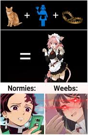 It Seems I Ve Fallen For This Bare Trap Anime Anime Memes Anime Memes Otaku