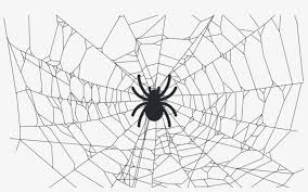 How to draw a cobweb: Crawleando A Web Com O Scrapy Realistic Spider Web Drawing Transparent Png 1024x591 Free Download On Nicepng