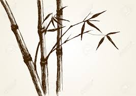 Sketch Illustration Of Bamboo Tree Royalty Free Cliparts Vectors And Stock Illustration Image 14797218 38 high quality collection of bamboo tree drawing by clipartmag. sketch illustration of bamboo tree