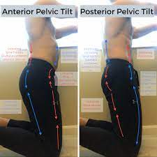 Anterior Pelvic Tilt How To Fix Your Asymmetries Waugh Personal Training