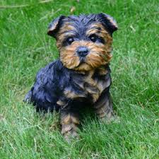 We did not find results for: Amazon Com Michael Carr Designs Sergeant York Yorkshire Terrier Puppy S Outdoor Puppy Dog Figurine For Gardens Patios And Lawns 80091 Patio Lawn Garden
