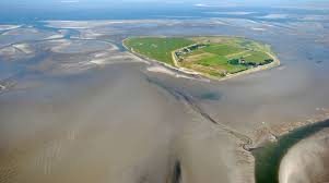 Anlaufstelle für alle, die sich näher über den nationalpark und das cuxhavener wattengebiet informieren wollen, ist das. Hamburg Wadden Sea National Park Tourist Attraction Hamburg Insel Neuwerk