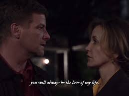 Desperate Housewives: A Perfect Match for Bree and Rex