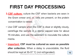 Image result for CSF Culture