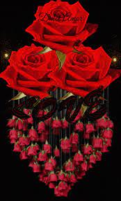 I especially enjoyed the ones that looked like the flowers view of the world. Love Roses Gif Rose Flower Wallpaper Love Flowers