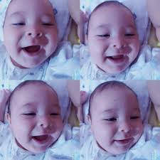 MERCADO LIBRE TUCANI