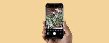 One of the easiest ways to get better pictures is to light your subject well. What Is Hdr How To Use It On Your Iphone Camera