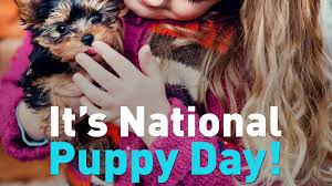 National puppy day brings attention to the love and affection puppies offer and to encourage it may be puppy day but that doesn't mean you can't have fun. Pyqxvfc 4sghqm