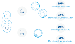 Dabei verschmelzen eizelle und samenzelle zu einer einzigen zelle. Was Ist Eine Blastozyste Oder Ein Embryotransfer Am Tag 5 Eugin