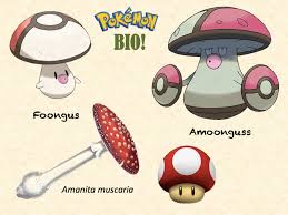 Go fest 2021 tickets cost $5 usd and the event. La Ciencia De La Vida La Base Biologica De Los Pokemon Tipo Planta