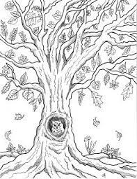 Tree in autumn coloring page. Free Printable Autumn Owl Tree Coloring Page Tree Coloring Page Family Tree Drawing Tree Drawing