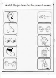 Free 5 Senses Worksheet For Kids Crafts And Worksheets For Preschool Toddler And Kindergarten Senses Preschool 5 Senses Preschool Five Senses Preschool