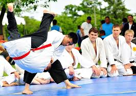 At google's breakfast with sundar pi. What Is Hapkido Black Eagle Martial Arts