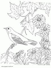 Hang around with this mischievous monkey blast off into outer space to explore new frontiers. 34 Bird Coloring Pages For Adults Free