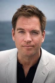 Image result for michael weatherly