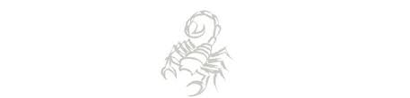 Zodiac Sign Compatibility For Marriage Blue Nile