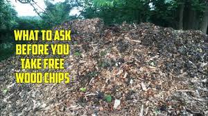 Stop and talk to a crew (or put in a call to their office), and you may just snag a free mulch hookup, delivery included. Are Free Wood Chips Worth It Youtube