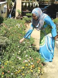 23,394 likes · 21 talking about this. Download Gambar Bunga Ros Jepun Vina Gambar