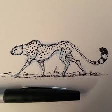 That is due to the cheetah's ability to slip into our imagination cloaked in the mystery of it's ideal form. A Tiny Cheetah Cheetah Sketch Animals Drawing Draw Art Sketching Instaart Instagood Illustration Con Animal Drawings Animal Sketches Cheetah Drawing