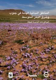 Image result for Thesium wilczekianum