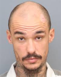 Deputies in Charles County Recover Stolen Vehicle and Arrest Bryans Road  Couple in Fraud Case