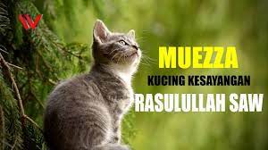 • 3,9 млн просмотров 8 месяцев назад. Kisah Muezza Kucing Kesayangan Rasulullah Yang Suka Menirukan Suara Adzan Youtube