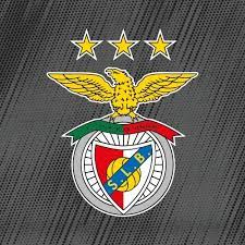 It is best known for the professional football team playing in the primeira liga, the top flight. Sozdat Mem Benfika Logo Benfika Benfika Png Kartinki Meme Arsenal Com