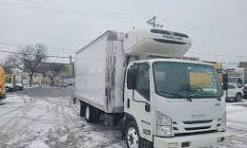 Used Isuzu Refrigerated Trucks for Sale - Penske Used Trucks