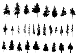 Resolution 352 624 Px File Format Png File Size 22 42 Kb Free Download Pine Tree Silhouette 1 Png Re Pine Tree Silhouette Tree Silhouette Silhouette Png