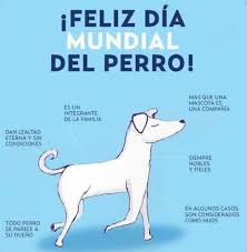 Gallen son conocidas por el consumo tradicional de carne de perro, curada al aire en forma de carne seca y salchichas, así como el empleo de su tocino en recetas de. Rescate Animal On Twitter Hoy Es Su Dia Y Queremos Saber Que Significa Tu Perro Para Ti Diamundialdelperro 21 De Julio Dia Internacional Del Perro 22 De Julio Dia Del Perro En