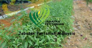 Jabatan pertanian negeri kedah, telok chengai, jalan kuala kedah alor setar, kedah, malaysia, 06600. Jawatan Kosong Di Jabatan Pertanian Negeri Kedah 11 Mei 2018 Appjawatan Malaysia