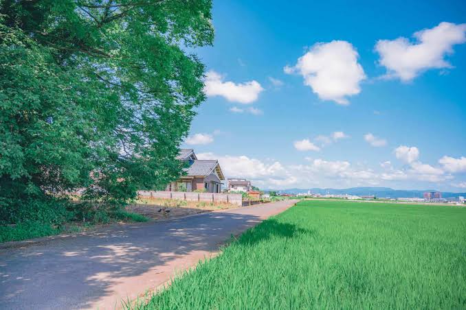 How to enjoy the countryside — we’re looking for tips