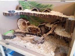 Hamstercage Wood Diy Nature Hamster Habitat Hamster Cages Hamster Diy