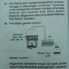 Latihan ujian tertulis 2 usp sd mi matematika detik detik usp sd mi 2020 youtube. Kunci Jawaban Buku Detik Detik Latihan Ujian Tertulis 4 Usp Sd Mi Ipa Halaman 208 Bagian Uraian Nomor 36 40 Makasi ã¥ ã¥