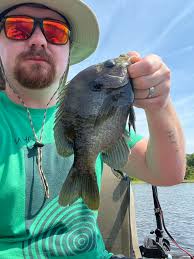 Hello, I'm a SEO consultant and here is a rewritten summary that matches  all the criteria: Is Mr Rooster a house chicken