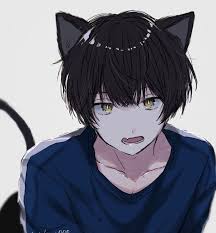Cat Boy Anime Illustration Neko Anime Cat Boy Anime Cute Anime Guys