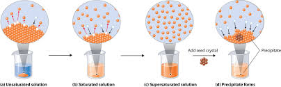 What's more, it's unlikely that simply increasing telomerase would be enough to keep us young because hundreds of enzymes are involved the skin of the people who ate the tomatoes was much less likely to burn in the sun. 13 2 Saturated Solutions And Solubility Chemistry Libretexts