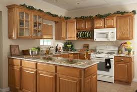 davotanko home interior: u kitchen layouts