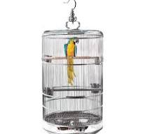 Amazon.com: Diseño colgante de jaula para pájaros de acero ...
