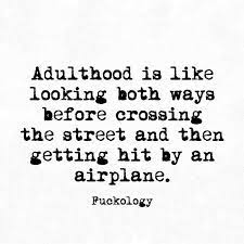 Humor Quotes Sarcastic Quotes Funny Quotes Sassy Quotes