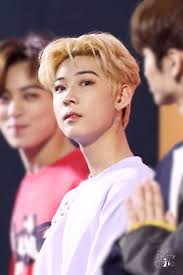Pin By Deni On Kpop Memes Robin Pics Kpop Memes