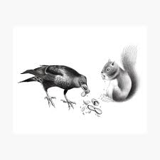 How long do crows… do crows collect shiny objects? Crow And Squirrel Eating Peanuts Poster By Tred85 Redbubble
